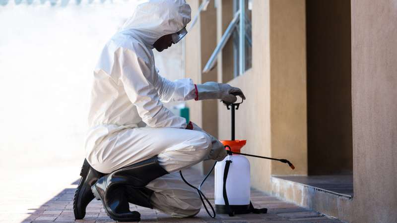 Historical Building Pest Preservation and Protection